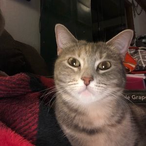 Meet your Posher, Sandy